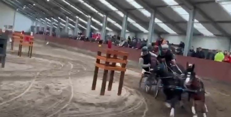 Fedeles fogathajtó verseny - 2025