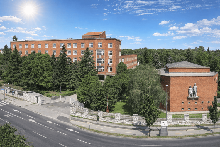 Megjelent az ideiglenes felvételi rangsor! (2026)