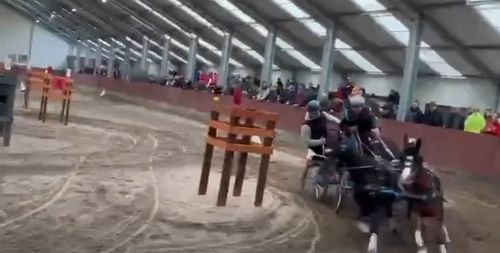 Fedeles fogathajtó verseny - 2025